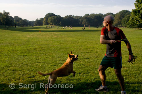 Prospect Park.