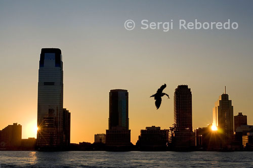 Vistas al atardecer del Río Hudson desde el Battery Park. Una gaviota acaba de pescar y el sol se refleja mientras se esconde en  uno de los rascacielos de Jersey.  El río Hudson es un río de 506 km de longitud, que discurre principalmente por el estado de Nueva York, en los Estados Unidos de América, formando en parte la frontera entre los estados de Nueva York y de Nueva Jersey. El nombre del río proviene de Henry Hudson, un inglés que navegaba por cuenta de Francia y de Holanda, que exploró el río en 1609. Sin embargo, el primer europeo en explorarlo fue el italiano Giovanni da Verrazano, en 1524, cuya expedición fue financiada por los comerciantes florentinos de Lyon y por Francisco I de Francia. El primer mapa detallado del mismo fue dibujado poco después, por el explorador portugués Esteban Gómez que lo navegó al servicio de España, dándole el nombre de río San Antonio.  El nacimiento oficial del río Hudson es el lago Tear of the Clouds  (literalmente lágrima de las nubes), en los montes Adirondacks. Sin embargo, el río que se deriva del lago es más bien conocido bajo los nombres de Feldspar Brook y luego Opalescent River, ríos que se incorporan al Hudson al nivel de la ciudad de Tahawus. El verdadero río tiene realmente su nacimiento sólo unos kilómetros al norte de Tahawus, a la altura del lago Henderson. La confluencia del Hudson y del río Mowhawk, su principal afluente, está situada en Troy (en el norte de Albany, la capital del estado de Nueva York), en el sur de Federal Dam (literalmente la presa federal) que hace de confluencia entre Upper Hudson River Valley y el Lower Hudson River Valley. A partir de Troy, el Hudson se ensancha poco a poco, hasta desembocar en el océano Atlántico, entre Manhattan, Staten Island y las costas de Nueva Jersey en la Upper Bay de Nueva York.