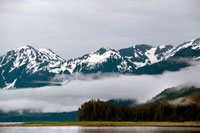 Juneau, Alaska, USA. Landscape of Scenery Cove, Thomas Bay, Petersburg, Southeast Alaska. Thomas Bay is located in southeast Alaska. It lies northeast of Petersburg, Alaska and the Baird Glacier drains into the bay. Thomas Bay is also known as "The Bay of Death" due to a massive landslide in 1750. It also has gained the name of "Devil's Country" when in 1900 several people claimed to have seen devil creatures in the area. Thomas Bay is known for being rich in gold and quartz. The wildlife has moose, brown bears, black bears, squirrels, wolves, rabbits, and other common Alaskan creatures.