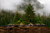 Juneau, Alaska, EE.UU.. Paisaje de paisaje Cove, Thomas Bay, Petersburgo, Alaska suroriental. Thomas Bay se encuentra en el sureste de Alaska. Se encuentra al noreste de San Petersburgo, Alaska y los desagües Baird Glaciar en la bahía. Thomas Bay también es conocida como "La bahía de la muerte" debido a un deslizamiento de tierras en 1750. También ha ganado el nombre de "País del Diablo", cuando en 1900 varias personas afirmaron tener criaturas diablo visto en la zona. Thomas Bay es conocida por ser rica en oro y cuarzo. La fauna tiene alces, osos pardos, osos negros, lobos, ardillas, conejos y otras criaturas de Alaska comunes.