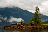 Juneau, Alaska, EE.UU.. Paisaje de paisaje Cove, Thomas Bay, Petersburgo, Alaska suroriental. Thomas Bay se encuentra en el sureste de Alaska. Se encuentra al noreste de San Petersburgo, Alaska y los desagües Baird Glaciar en la bahía. Thomas Bay también es conocida como "La bahía de la muerte" debido a un deslizamiento de tierras en 1750. También ha ganado el nombre de "País del Diablo", cuando en 1900 varias personas afirmaron tener criaturas diablo visto en la zona. Thomas Bay es conocida por ser rica en oro y cuarzo. La fauna tiene alces, osos pardos, osos negros, lobos, ardillas, conejos y otras criaturas de Alaska comunes.