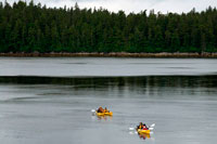 Juneau, Alaska, EE.UU.. Los pasajeros de cruceros Safari Endeavour kayak de mar en Reid Glaciar en el Parque Nacional Glacier Bay. Disfrute de una noche en el ancla, y por la mañana pasaron remando un kayak en la tranquilidad de este majestuoso desierto. Aquí, en la bahía son frailecillos y leones marinos, las cabras de montaña y osos, alces, águilas