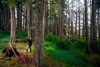 Juneau, Alaska, USA. Man taking picture in a temperate rainforest on the Brothers Islands between Stephens Passage and Frederick Sound. Alexander Archipelago, Southeast Alaska. The Three Brothers is a small reef located off the north coast of Kodiak Island, Alaska, about 2 km east of Shakmanof Point and 2.5 km west of Ouzinkie.