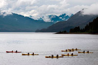 Juneau, Alaska, EUA .. Caiacs en estret gelat. Parc Nacional Glacier Bay ADN Preserve. Illa Chichagof. Juneau. El sud-est d'Alaska. Avui és el dia final de l'exploració. Estableixi el seu curs per possiblement les aigües de balenes més rics al sud-est d'Alaska. Mantingui el rellotge per el cop revelador de les balenes geperudes que vostè frega les aigües riques en nutrients a la recerca de balenes, dofins, lleons marins, i altres animals salvatges.