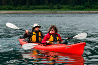 Juneau, Alaska, EUA .. Caiac en estret gelat. Parc Nacional Glacier Bay ADN Preserve. Illa Chichagof. Juneau. El sud-est d'Alaska. Avui és el dia final de l'exploració. Estableixi el seu curs per possiblement les aigües de balenes més rics al sud-est d'Alaska. Mantingui el rellotge per el cop revelador de les balenes geperudes que vostè frega les aigües riques en nutrients a la recerca de balenes, dofins, lleons marins, i altres animals salvatges.