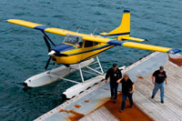 Juneau, Alaska, USA. Seaplane in the Bartlett Cove Seaplane Base. Pier and floating dock, Bartlett Cove, Glacier Bay National Park, Alaska. Here, just 200 years ago stood the snout of a 100-mile long glacier. Though icebergs no longer dot the waters of Bartlett Cove, the animals, plants, and landscape continue to change after being affected by the Neoglacial Ice Age. There are many ways to explore Bartlett Cove.