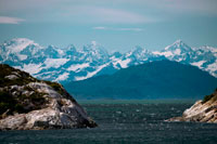 Juneau, Alaska, EE.UU.. Pájaros en mármol del Sur Island, el Parque Nacional Glacier Bay, Sureste de Alaska. Al final, Mt Bertha y el Monte de La Perouse nevado. Sur Marble Island es una pequeña protuberancia en el canal principal de la Bahía de los Glaciares como se navega desde el centro de visitantes hacia los grandes glaciares. Sería poco notable, excepto que alberga una colonia notable e importante para el arao pichón (Cepphus columba), un ave marina del Pacífico norte.