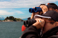 Juneau, Alaska, EE.UU.. Pasajeros con prismáticos en crucero Safari Endeavour buscando una colonia de leones marinos de Steller (jubatus Eumetopias) en el mármol del Sur Isla en el Parque Nacional Glacier Bay, Alaska. EE.UU.. Norte (Steller) lobos marinos (jubatus Eumetopias), Isla Sur Mármol, Parque Nacional Glacier Bay, Sureste de Alaska. Sur Marble Island es una pequeña protuberancia en el canal principal de la Bahía de los Glaciares como se navega desde el centro de visitantes hacia los grandes glaciares. Sería poco notable, excepto que alberga una colonia notable e importante para el arao pichón (Cepphus columba), un ave marina del Pacífico norte.