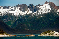 Juneau, Alaska, EE.UU.. Una colonia de leones marinos de Steller (jubatus Eumetopias) en el mármol del Sur Isla en el Parque Nacional Glacier Bay, Alaska. EE.UU.. Norte (Steller) lobos marinos (jubatus Eumetopias), Isla Sur Mármol, Parque Nacional Glacier Bay, Sureste de Alaska. Sur Marble Island es una pequeña protuberancia en el canal principal de la Bahía de los Glaciares como se navega desde el centro de visitantes hacia los grandes glaciares. Sería poco notable, excepto que alberga una colonia notable e importante para el arao pichón (Cepphus columba), un ave marina del Pacífico norte.