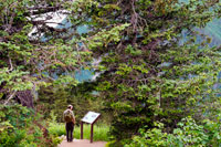 Juneau, Alaska, EUA .. Un turista busca en un senyal d'informació a Mount Roberts. Trekking del Mt Roberts Tramway, Juneau. Alaska. El terminal del tramvia es troba en una torre i ofereix vistes espectaculars de la ciutat de Juneau i el Canal de Gastineau, Douglas Island i la comunitat de Douglas a l'oest, la serralada de Chilkat muntanya al nord, i Kupreanof Illa al Sud.