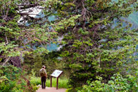 Juneau, Alaska, EE.UU.. Un turista busca en una señal de información en Mount Roberts. Trekking del Mt Roberts Tramway, Juneau. Alaska. El terminal del tranvía se encuentra en una torre y ofrece vistas espectaculares de la ciudad de Juneau y el Canal de Gastineau, Douglas Island y la comunidad de Douglas al oeste, la cordillera de Chilkat montaña al norte, y Kupreanof Isla al Sur 