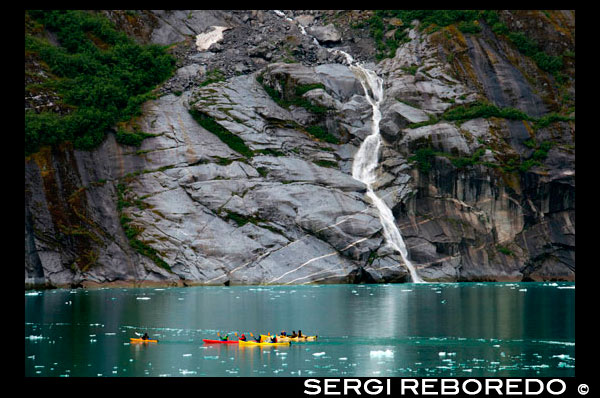 Passengers of cruise ship Safari Endeavour sea kayaking at Fords Terror, Endicott Arm, Tongass National Forest, Alaska, USA. Cliff-walled fjords sliced into the mountainous mainland are on tap today as you slowly slip into an area widely acclaimed as the most beautiful in Alaska. With more designated Wilderness Areas than any state in the nation, the finest include Endicott Arm and Ford’s Terror, a pristine tidal inlet and fjord. Explore this majestic fjord by kayak or skiff, a unique opportunity indeed. View rugged ice-covered mountains gleaming high overhead and a glacier that actively calves into the ice-filled fjord of Endicott Arm. Toast your voyage with a festive Farewell Dinner, and before turning in, your Expedition Leaders share a “photo journal” of your trip together.