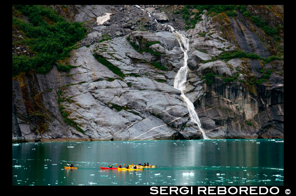 Els passatgers de creuers Safari Endeavour caiac de mar a Fords Terror, braç de Endicott, Bosc Nacional de Tongass, Alaska, EUA .. Fiords-Cliff parets tallades a la part continental de muntanya són de barril avui com vostè es llisca lentament en una àrea àmpliament aclamat com el més bell a Alaska. Amb Àrees Silvestres més designats que qualsevol estat de la nació, la més fina inclouen Endicott Braç i Terror de Ford, una ria d'aigües cristal·lines i fiord. Explorar aquest majestuós fiord en caiac o pot, una oportunitat única de fet. Veure les muntanyes cobertes de gel escarpats lluents dalt i una glacera que s'aturi de manera activa en el fiord ple de gel del braç d'Endicott. Torra el viatge amb una festiva sopar de comiat, i abans d'entregar, als seus caps d'expedició comparteixen un "diari de fotos" del seu viatge junts.