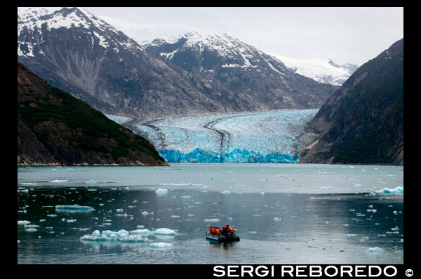 Safari Endeavour cruise passengers in an inflatable boat in front of South Sawyer Glacier calves into the Endicott Arm fjord of Tracy Arm in Fords Terror Wilderness, Southeast, Alaska. Cliff-walled fjords sliced into the mountainous mainland are on tap today as you slowly slip into an area widely acclaimed as the most beautiful in Alaska. With more designated Wilderness Areas than any state in the nation, the finest include Endicott Arm and Ford’s Terror, a pristine tidal inlet and fjord. Explore this majestic fjord by kayak or skiff, a unique opportunity indeed. View rugged ice-covered mountains gleaming high overhead and a glacier that actively calves into the ice-filled fjord of Endicott Arm. Toast your voyage with a festive Farewell Dinner, and before turning in, your Expedition Leaders share a “photo journal” of your trip together.