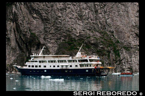 Safari Endeavour creuers en Fords Terror, braç de Endicott, Bosc Nacional de Tongass, Alaska, EUA .. L'Estat nombre 49, el més gran dels EUA, és perfecte per als creuers, amb nombroses oportunitats per apreciar la seva gran bellesa natural. Navegui al llarg del pas interior per visitar les immenses formacions de gel de Glacier Bay i estret gelat, així ports populars com Ketchikan, Skagway i Juneau, l'única capital de l'estat nord-americà que no és accessible en cotxe. O viatjar més al nord de la península de Kenai i prop de Anchorage, un punt de partida fos perfecte per cruisetours a Denali, Fairbanks i Yukon del Canadà. Potser vostè veurà un ós!