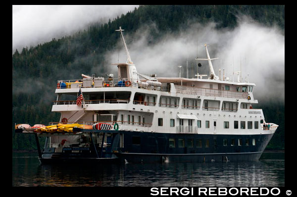 Safari Endeavour cruceros en Fords Terror, brazo de Endicott, Bosque Nacional de Tongass, Alaska, EE.UU.. El Estado número 49, el más grande de los EE.UU., es perfecto para los cruceros, con numerosas oportunidades para apreciar su gran belleza natural. Navegue a lo largo del paso interior para visitar las inmensas formaciones de hielo de Glacier Bay y estrecho helado, así puertos populares como Ketchikan, Skagway y Juneau, la única capital del estado estadounidense que no es accesible en coche. O viajar más al norte de la península de Kenai y cerca de Anchorage, un punto de partida fuera perfecto para cruisetours a Denali, Fairbanks y Yukón de Canadá. Tal vez usted verá un oso!