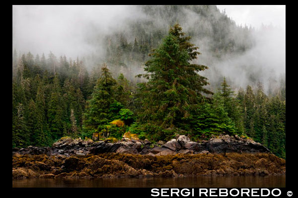 Landscape of Scenery Cove, Thomas Bay, Petersburg, Southeast Alaska. Thomas Bay is located in southeast Alaska. It lies northeast of Petersburg, Alaska and the Baird Glacier drains into the bay. Thomas Bay is also known as "The Bay of Death" due to a massive landslide in 1750. It also has gained the name of "Devil's Country" when in 1900 several people claimed to have seen devil creatures in the area. Thomas Bay is known for being rich in gold and quartz. The wildlife has moose, brown bears, black bears, squirrels, wolves, rabbits, and other common Alaskan creatures. The land has been used for logging. Charlie claimed to have arrived in Thomas Bay, but couldn't find the half-moon shaped lake. Instead he spent some time off an 'S' shaped lake (actually called Ess Lake). He claimed that the surrounding area seemed oddly void of life. There were no squirrels, no birds, etc. Wanting to get his bearings after he found his large chunk of quartz, he climbed to the top of a ridge. From there he could spot Frederick Sound, Cape of the Straight Light, the point of Vanderput Spit (Point Vanderput), and Sukhoi Island from the mouth of Wrangell Narrows. Behind the ridge, Charlie finally spotted the half-moon shaped lake, which is where the Patterson Glacier turns into a lake that turns into Patterson River.