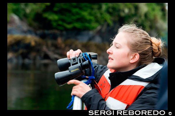 Crew with binoculars on cruise ship Safari Endeavour at anchor at Fords Terror, Endicott Arm, Tongass National Forest, Juneau, Alaska, USA. Cliff-walled fjords sliced into the mountainous mainland are on tap today as you slowly slip into an area widely acclaimed as the most beautiful in Alaska. With more designated Wilderness Areas than any state in the nation, the finest include Endicott Arm and Ford’s Terror, a pristine tidal inlet and fjord. Explore this majestic fjord by kayak or skiff, a unique opportunity indeed. View rugged ice-covered mountains gleaming high overhead and a glacier that actively calves into the ice-filled fjord of Endicott Arm. Toast your voyage with a festive Farewell Dinner, and before turning in, your Expedition Leaders share a “photo journal” of your trip together.