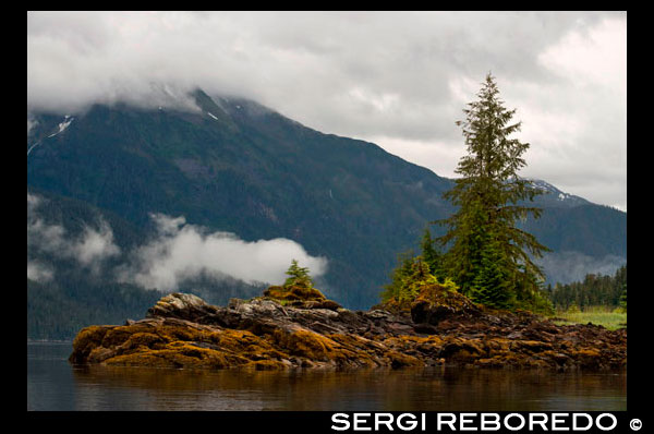 Landscape of Scenery Cove, Thomas Bay, Petersburg, Southeast Alaska. Thomas Bay is located in southeast Alaska. It lies northeast of Petersburg, Alaska and the Baird Glacier drains into the bay. Thomas Bay is also known as "The Bay of Death" due to a massive landslide in 1750. It also has gained the name of "Devil's Country" when in 1900 several people claimed to have seen devil creatures in the area. Thomas Bay is known for being rich in gold and quartz. The wildlife has moose, brown bears, black bears, squirrels, wolves, rabbits, and other common Alaskan creatures. The land has been used for logging. Charlie claimed to have arrived in Thomas Bay, but couldn't find the half-moon shaped lake. Instead he spent some time off an 'S' shaped lake (actually called Ess Lake). He claimed that the surrounding area seemed oddly void of life. There were no squirrels, no birds, etc. Wanting to get his bearings after he found his large chunk of quartz, he climbed to the top of a ridge. From there he could spot Frederick Sound, Cape of the Straight Light, the point of Vanderput Spit (Point Vanderput), and Sukhoi Island from the mouth of Wrangell Narrows. Behind the ridge, Charlie finally spotted the half-moon shaped lake, which is where the Patterson Glacier turns into a lake that turns into Patterson River.