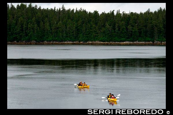 Els passatgers de creuers Safari Endeavour caiac de mar a Reid Glacera al Parc Nacional Glacier Bay. Gaudiu d'una nit en l'àncora, i al matí van passar remant un caiac en la tranquil·litat d'aquest majestuós desert. Aquí, a la badia són frarets i lleons marins, les cabres de muntanya i óssos, ants, àguiles, i paisatges més espectaculars que qualsevol altre lloc a la terra. Glacier Bay està en el seu millor quan explorat per petits grups amb temps il·limitat per a caminades i passejades en caiac dins de les àrees de la badia i el desert. El seu segon dia es dedica a l'exploració de les glaceres i la fauna del Parc Nacional.