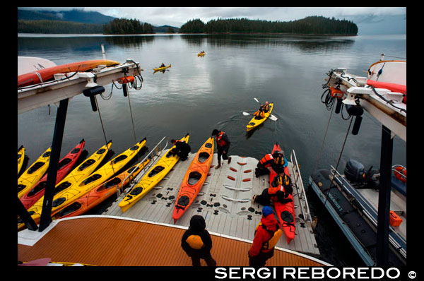 Les persones que reben en caiacs de mar al moll de càrrega de creuers Safari Endeavour prop Reid Glacera al Parc Nacional Glacier Bay. Gaudiu d'una nit en l'àncora, i al matí van passar remant un caiac en la tranquil·litat d'aquest majestuós desert. Aquí, a la badia són frarets i lleons marins, les cabres de muntanya i óssos, ants, àguiles, i paisatges més espectaculars que qualsevol altre lloc a la terra. Glacier Bay està en el seu millor quan explorat per petits grups amb temps il·limitat per a caminades i passejades en caiac dins de les àrees de la badia i el desert. El seu segon dia es dedica a l'exploració de les glaceres i la fauna del Parc Nacional.