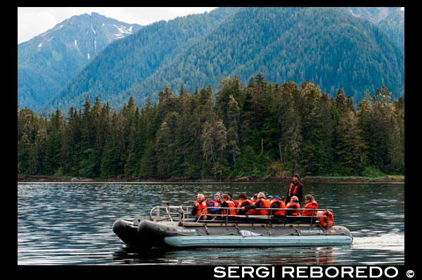 Safari Endeavour cruise passengers in an inflatable boat in Icy Strait. Glacier Bay National Park adn Preserve. Chichagof Island. Juneau. Southeast Alaska. Today is the ultimate day of exploration. Set your course for arguably the richest whale waters in Southeast Alaska. Keep watch for the telltale blow of the humpbacks as you scour the nutrient-rich waters in search of whales, porpoise, sea lions, and other wildlife. Join the Captain on the bridge or go on deck with your Expedition Leader. Late afternoon, drop the skiffs and kayaks for closer inspection of the remote coastline with eyes set on shore for possible bear sightings. This evening, take in the solitude while relaxing in the upper deck hot tub or enjoy a nightcap with your fellow yachtmates in the saloon.