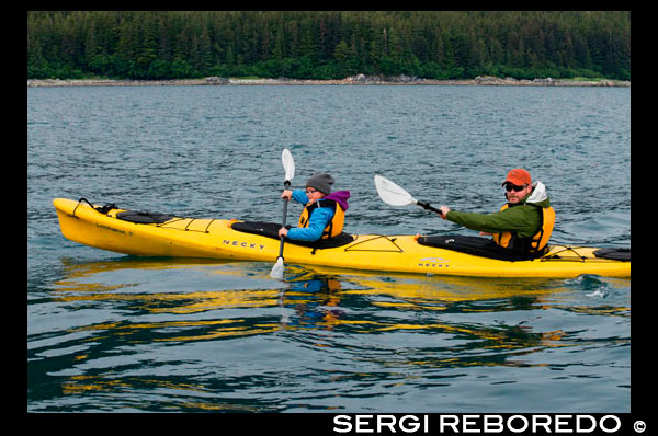 Caiac en estret gelat. Parc Nacional Glacier Bay ADN Preserve. Illa Chichagof. Juneau. El sud-est d'Alaska. Avui és el dia final de l'exploració. Estableixi el seu curs per possiblement les aigües de balenes més rics al sud-est d'Alaska. Mantingui el rellotge per el cop revelador de les balenes geperudes que vostè frega les aigües riques en nutrients a la recerca de balenes, dofins, lleons marins, i altres animals salvatges. Uneix-te al capità al pont o anar a coberta amb el seu Líder d'Expedició. A la tarda, la caiguda de les llanxes i caiacs per a una inspecció més propera de la costa a distància amb els ulls fixats a la costa de possibles albiraments d'óssos. Aquesta nit, gaudir de la solitud mentre es relaxa a la banyera d'hidromassatge coberta superior o gaudir d'una copa amb els seus companys de yachtmates al saló.