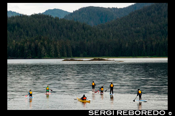 Paddle surf i caiac en estret gelat. Parc Nacional Glacier Bay ADN Preserve. Illa Chichagof. Juneau. El sud-est d'Alaska. Avui és el dia final de l'exploració. Estableixi el seu curs per possiblement les aigües de balenes més rics al sud-est d'Alaska. Mantingui el rellotge per el cop revelador de les balenes geperudes que vostè frega les aigües riques en nutrients a la recerca de balenes, dofins, lleons marins, i altres animals salvatges. Uneix-te al capità al pont o anar a coberta amb el seu Líder d'Expedició. A la tarda, la caiguda de les llanxes i caiacs per a una inspecció més propera de la costa a distància amb els ulls fixats a la costa de possibles albiraments d'óssos. Aquesta nit, gaudir de la solitud mentre es relaxa a la banyera d'hidromassatge coberta superior o gaudir d'una copa amb els seus companys de yachtmates al saló.