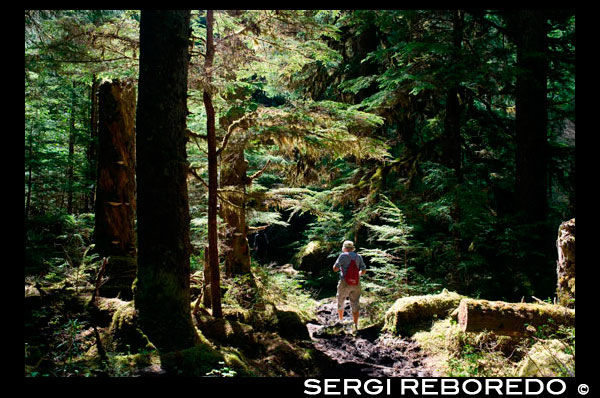 Forest Loop Trail, Bartlett Cove, Glacier Bay National Park, Alaska, USA. Here, just 200 years ago stood the snout of a 100-mile long glacier. Though icebergs no longer dot the waters of Bartlett Cove, the animals, plants, and landscape continue to change after being affected by the Neoglacial Ice Age. There are many ways to explore Bartlett Cove. You may wish to investigate the area on your own, with a small group, or as part of a Ranger Naturalist guided hike or talk. Whatever the method, the beauty of Bartlett Cove and the events that took place here are well worth discovering. Bartlett Cove is the only developed area in Glacier Bay National Park. Join Ranger Tim and explore the activities, trails, lodging, and other highlights found at this remote wilderness outpost.