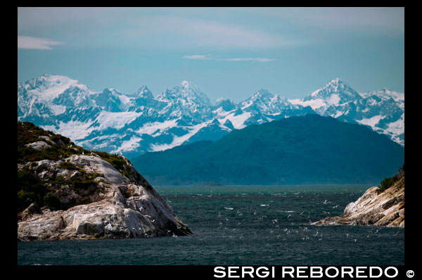 Pájaros en mármol del Sur Island, el Parque Nacional Glacier Bay, Sureste de Alaska. Al final, Mt Bertha y el Monte de La Perouse nevado. Sur Marble Island es una pequeña protuberancia en el canal principal de la Bahía de los Glaciares como se navega desde el centro de visitantes hacia los grandes glaciares. Sería poco notable, excepto que alberga una colonia notable e importante para el arao pichón (Cepphus columba), un ave marina del Pacífico norte. Estos pájaros negros tienen parches de ala superiores blancas marcadas con un triángulo negro, junto con patas rojas distintivas. Nido Guillemots en grietas rocosas de la isla. La isla es también un león marino de Steller (Eumetopias jubatus) ubicación haul-out. Un lugar donde esto ocurre se muestra en la fotografía. Si usted mira de cerca usted puede ser capaz de ver algunos de ellos. Leones marinos de Steller son los más grandes de los sellos de orejas. Ellos llevan el nombre de George Wilhelm Steller, un naturalista alemán que participó en el 1741 Bering expedición, y fue el primero en clasificar científicamente.