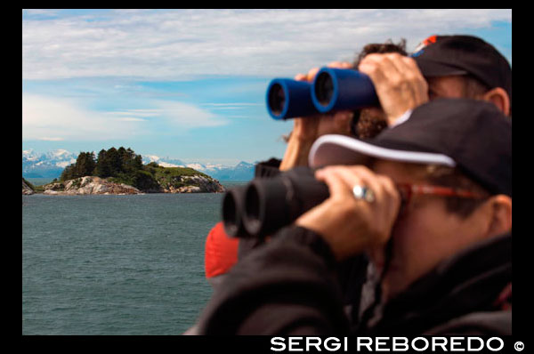 Passengers with binoculars on cruise ship Safari Endeavour looking a colony of Steller Sea Lions (Eumetopias jubatus) on South Marble Island in Glacier Bay National Park, Alaska. USA. Northern (Steller) sea lions (Eumetopias jubatus), South Marble Island, Glacier Bay National Park, Southeastern Alaska. South Marble Island is a small protrusion within the main channel of Glacier Bay as one sails from the Visitors Center up towards the major glaciers. It would be unremarkable except that it houses a notable and important colony for the pigeon guillemot (Cepphus columba), a north pacific seabird. These black birds have white upper wing patches marked by a black triangle, along with distinctive red legs. Guillemots nest within the island's rocky crevices. The island is also a Steller sea lion (Eumetopias jubatus) haul-out location. One place where this happens is shown in the photograph. If you look closely you may be able to see some of them. Steller sea lions are the largest of the eared seals. They are named for George Wilhelm Steller, a German naturalist that participated in the 1741 Bering expedition, and was the first to scientifically classify them.