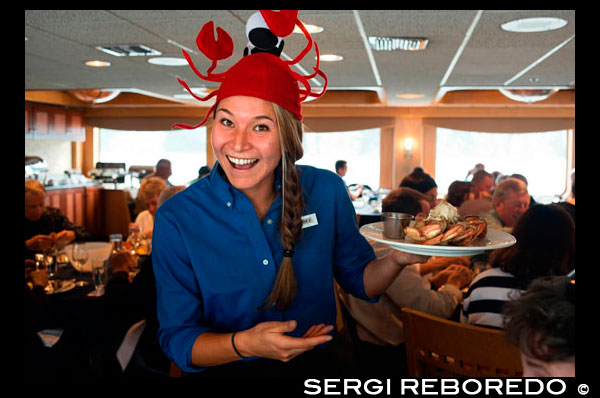 Restaurant of Safari Endeavour cruise at Fords Terror, Endicott Arm, Tongass National Forest, Alaska, USA. The waitress teaches the dish of the day: crab. The 49th State, the largest in the U.S., is perfect for cruisers, with numerous opportunities to appreciate its vast natural beauty. Sail along the Inside Passage to visit the immense ice formations of Glacier Bay and Icy Strait, as well popular ports such as Ketchikan, Skagway and Juneau, the only U.S. state capital that's not accessible by car. Or travel further north to the Kenai Peninsula and nearby Anchorage, a perfect jumping off point for cruisetours to Denali, Fairbanks and Canada's Yukon. Maybe you'll see a bear!