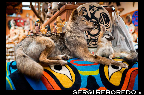 Totem Pole Shop, Juneau Alaska. Indigenous crafts shop, Juneau, Alaska. Local Indian Art and Collectibles. Store offering local Indian art and collectibles. Title taken from label on matting. View of large and small totem poles in front of curio shop in Juneau, Alaska, with clock at left of large totem pole. Signs on building read: "Curios. Visitors welcome." and "The Nugget Shop." Photographer's... Art collectors will find a feast for the eyes here. Juneau's stunning natural landscape has inspired many artists whose paintings, drawing and photos are displayed throughout the city. Sculpture and carved totem poles are also popular art pieces. Take a walk downtown — there are several galleries clustered along a couple blocks of South Franklin Street — or in the Mendenhall Valley shopping districts to find something that strikes your fancy.