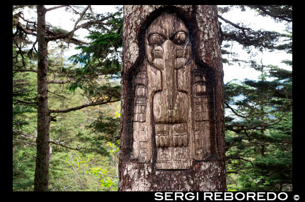 Signo, El territorio del clan del cuervo, talla de árbol, indios Tlingit, Juneau, Alaska suroriental. Mount Roberts. Trekking del Mt Roberts Tramway, Juneau. Alaska. El terminal del tranvía se encuentra en una torre y ofrece vistas espectaculares de la ciudad de Juneau y el Canal de Gastineau, Douglas Island y la comunidad de Douglas al oeste, la cordillera de Chilkat montaña al norte, y Kupreanof Isla al Sur . La plataforma de la terminal se une a la cresta del Monte Roberts por el puente aéreo que conduce a las instalaciones de la cumbre. El edificio principal incluye el Timberline Bar & Grill, el Teatro Chilkat mostrando una película informativa de los nativos de Alaska locales, y de los regalos del cuervo Águila. Situado en el edificio principal es el tótem Stephen Jackson, una versión moderna de los temas nativos tradicionales. El Raptor Center Juneau opera una pantalla águila calva en la cumbre, que ofrece un centro de recuperación para las águilas heridos y programas educativos para los visitantes de tranvía. Los visitantes también pueden entrar en el centro de la naturaleza que ofrece visitas senderismo aventuras y libros y mapas en la recreación local. Varias rutas de senderismo de diferentes grados de dificultad (incluyendo caminos de acceso de sillas de ruedas) se han trazado va desde las instalaciones de la cumbre. Muchas de ellas cuentan con espectaculares vistas de la cordillera Mount Roberts, y un poco de viento a través de los árboles de los bosques y prados con flores y animales salvajes. Los caminos forestales cuentan con árboles con tallas totémicos que representan leyendas nativas. Marcadores interpretativos que describen muchas de las flores, las plantas, los árboles, los pájaros y los animales se colocan a lo largo del sendero circular para caminatas autoguiadas.