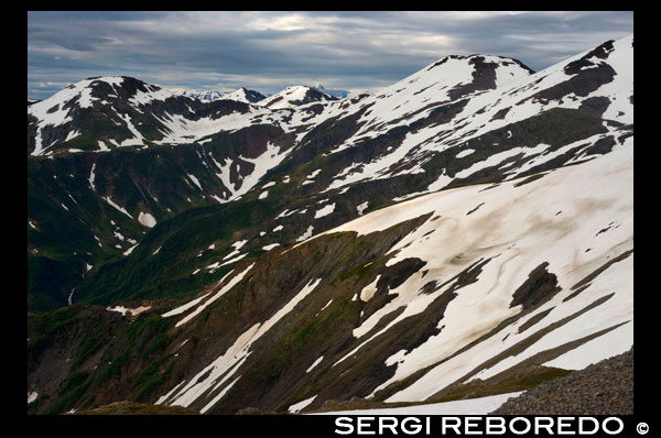 Mount Roberts. Trekking del Mt Roberts Tramway, Juneau. Alaska. El terminal del tranvía se encuentra en una torre y ofrece vistas espectaculares de la ciudad de Juneau y el Canal de Gastineau, Douglas Island y la comunidad de Douglas al oeste, la cordillera de Chilkat montaña al norte, y Kupreanof Isla al Sur . La plataforma de la terminal se une a la cresta del Monte Roberts por el puente aéreo que conduce a las instalaciones de la cumbre. El edificio principal incluye el Timberline Bar & Grill, el Teatro Chilkat mostrando una película informativa de los nativos de Alaska locales, y de los regalos del cuervo Águila. Situado en el edificio principal es el tótem Stephen Jackson, una versión moderna de los temas nativos tradicionales. El Raptor Center Juneau opera una pantalla águila calva en la cumbre, que ofrece un centro de recuperación para las águilas heridos y programas educativos para los visitantes de tranvía. Los visitantes también pueden entrar en el centro de la naturaleza que ofrece visitas senderismo aventuras y libros y mapas en la recreación local. Varias rutas de senderismo de diferentes grados de dificultad (incluyendo caminos de acceso de sillas de ruedas) se han trazado va desde las instalaciones de la cumbre. Muchas de ellas cuentan con espectaculares vistas de la cordillera Mount Roberts, y un poco de viento a través de los árboles de los bosques y prados con flores y animales salvajes. Los caminos forestales cuentan con árboles con tallas totémicos que representan leyendas nativas. Marcadores interpretativos que describen muchas de las flores, las plantas, los árboles, los pájaros y los animales se colocan a lo largo del sendero circular para caminatas autoguiadas.