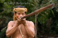 Yagua town. Blowguns, blowgun calls are greatly elongated and handcrafted.