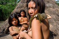 Poblado yagua. Retrato de algunas de las adolescentes que viven en el poblado junto a su mascota, un pequeño titi pigmeo (el mono más pequeño del mundo). 