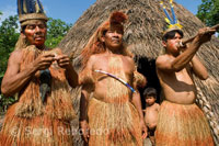 Poblat yagua. Les sarbatanes, anomenades pucunas són enormement allargades, fabricades artesanalment i s'utilitzen per a caçar. Poblat i aigua. Retrat d'algunes de les adolescents que viuen al poblat amb la seva mascota, un petit titi pigmeu (el mico més petit del món). La majoria de la gent gran només parlen la llengua i aigua, però les noves generacions ja són bilingües, gràcies a les escoles que s'han creat per als indígenes i en les que s'imparteixen les dues llengües.