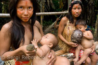 Poblat yagua. Dues dones donen de mamar als seus fills. Una d'elles posa amb la seva mascota, un petit titi pigmeu (el mico més petit del món).