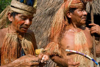 Poblado yagua. Las cerbatanas, llamadas pucunas son enormemente alargadas, fabricadas artesanalmente y se utilizan para cazar. Un yagua prepara los dardos, que guardan en una hoja de palma plegada, y están fabricados con piedras punzantes y fibra de ceiba.