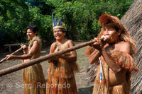 Yagua town. Blowguns, blowgun calls are greatly elongated, hand-crafted and used for hunting.