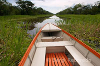 Navegando por uno de los afluyentes del Amazonas a unos 40 kilómetros de Iquitos cerca del pueblo de Indiana. 