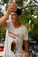 Piranha fishing in one of the tributaries of the Amazon to Iquitos about 40 miles near the town of Indiana.