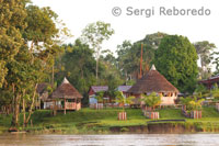 Small huts lined up at the margin of one of the tributaries of the Amazon to Iquitos about 40 miles near the town of Indiana.