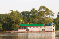 A boat sailing through one of the tributaries of the Amazon to Iquitos about 40 miles near the town of Indiana.