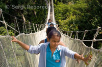 Amazon Canopy Walkway, one of the longest suspension bridges in the world, which will allow the primary forest animals from a height of 37 meters and is suspended over the 14 tallest trees in the area.