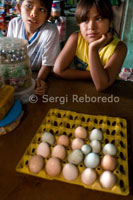 En el mercat del poble d'Indiana es poden comprar ous multicolors.