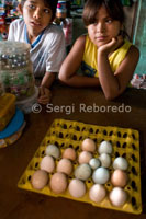 En el mercado del pueblo de Indiana se pueden comprar huevos multicolores. 