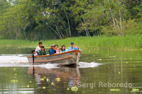 Explorama few tourists on a boat to observe the freshwater pink dolphins in one of the tributaries of the Amazon to Iquitos about 40 miles near the town of Indiana.