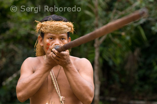 Yagua town. Blowguns, blowgun calls are greatly elongated and handcrafted. Yagua, besides the traditional activities of slash and burn horticulture, is also engaged in hunting, fishing and gathering, are involved in the marketing of leather, wood, meat and wild fruits as well as rice and cassava sale in the market. According to the 1993 census, the population 5 years and shows a 40% illiteracy, rising to 44% in women, 30% do not have any instructions and only 7% higher education.